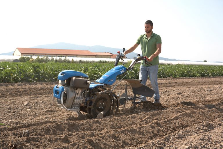 740-al-lavoro-2.jpg